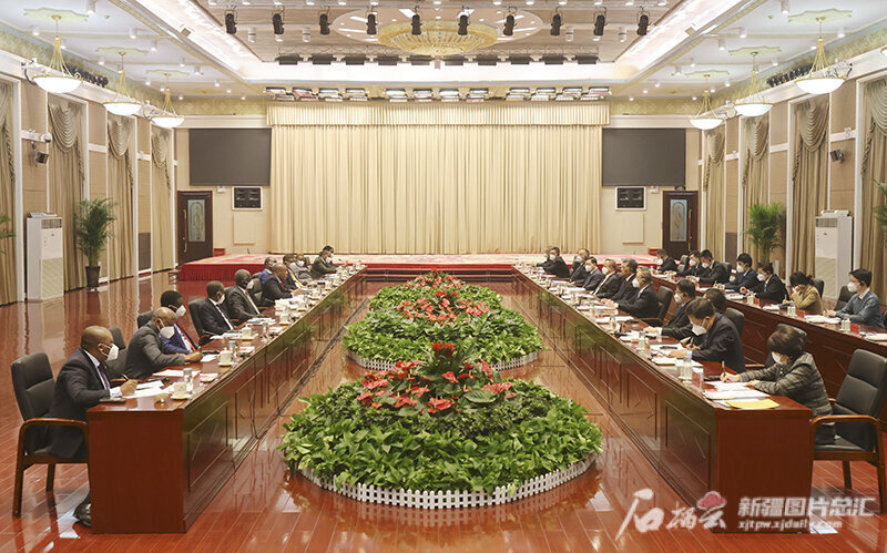 马兴瑞艾尔肯·吐尼亚孜会见非洲国家驻华使节代表团