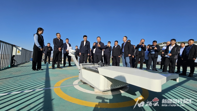第二批自治区数字乡村试点启动 第二批自治区数字乡村试点启动