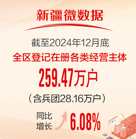 新疆登记在册经营主体达259.47万户