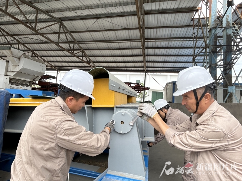 2025年新疆夏粮收购工作启动 坚决守住农民“种粮卖得出”底线