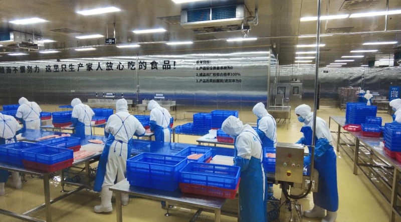 新疆冷水鱼“游”出产业“加速度”