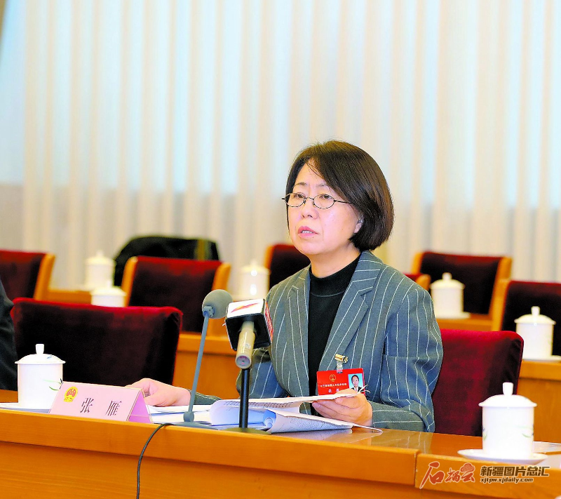 新疆代表团举行小组会议审议全国人大常委会工作报告