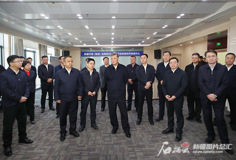 马兴瑞艾尔肯·吐尼亚孜在自治区部分国有企业调研