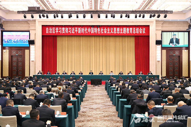 自治区学习贯彻习近平新时代中国特色社会主义思想主题教育总结会议召开