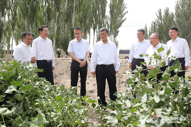马兴瑞在喀什等地州和图木舒克市调研