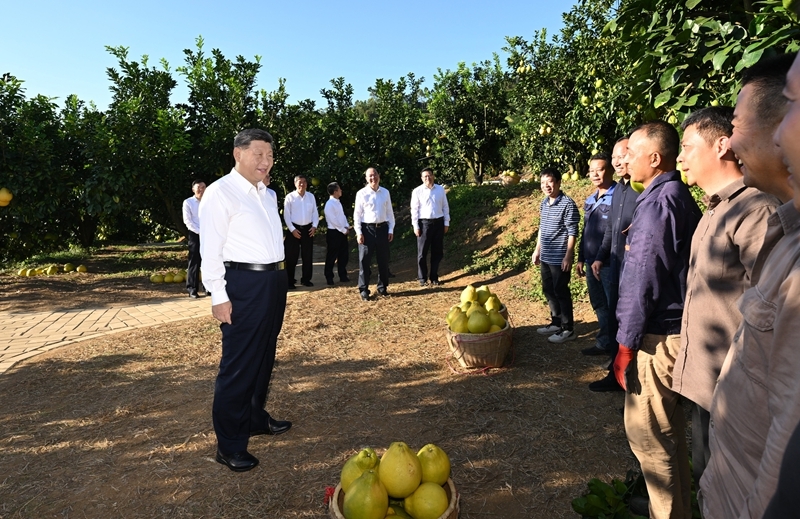习近平在广东考察时强调：深入学习宣传贯彻党的二十届四中全会精神
以全面深化改革开放推动高质量发展